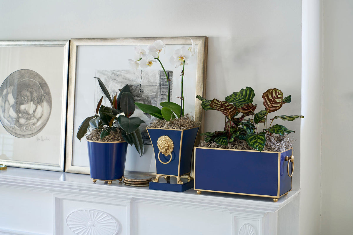 Cachepots & Planters