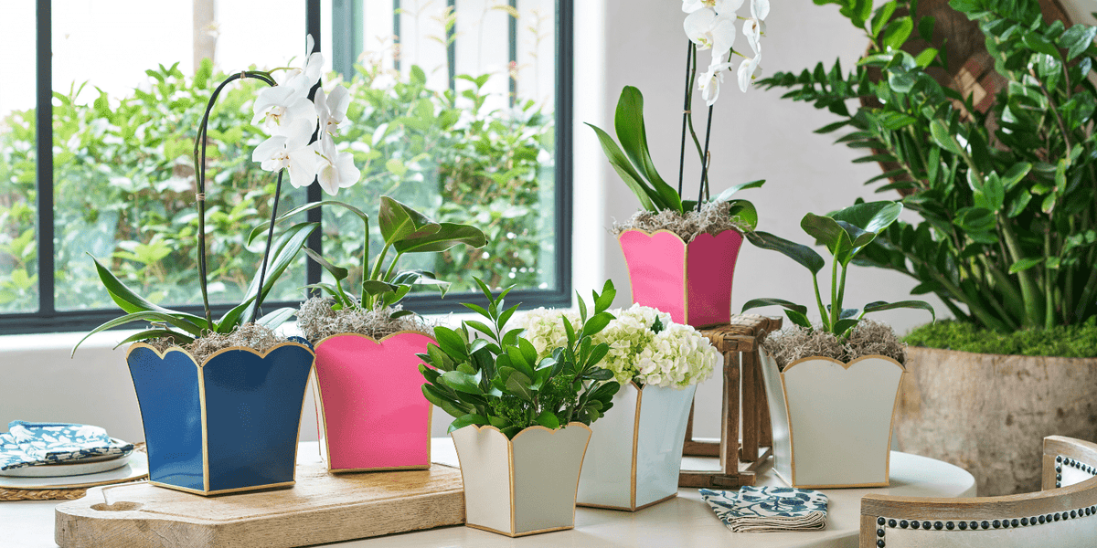 Cachepots & Planters - Jaye's Studio
