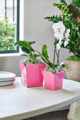 Gracie Pink Square Metal Cachepot For Bedroom, Office, Kitchen, Living Room - Gracie Scarlette Collection