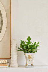 Paws & Claws Taupe Square Metal Cachepot for Bedroom, Home Office, Kitchen or Living Room - with Gold Lion Decor
