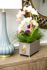 Paws & Claws Taupe Rectangular Metal Cachepot for Bedroom, Home Office, Kitchen, Living Room - with Gold Lion Decor