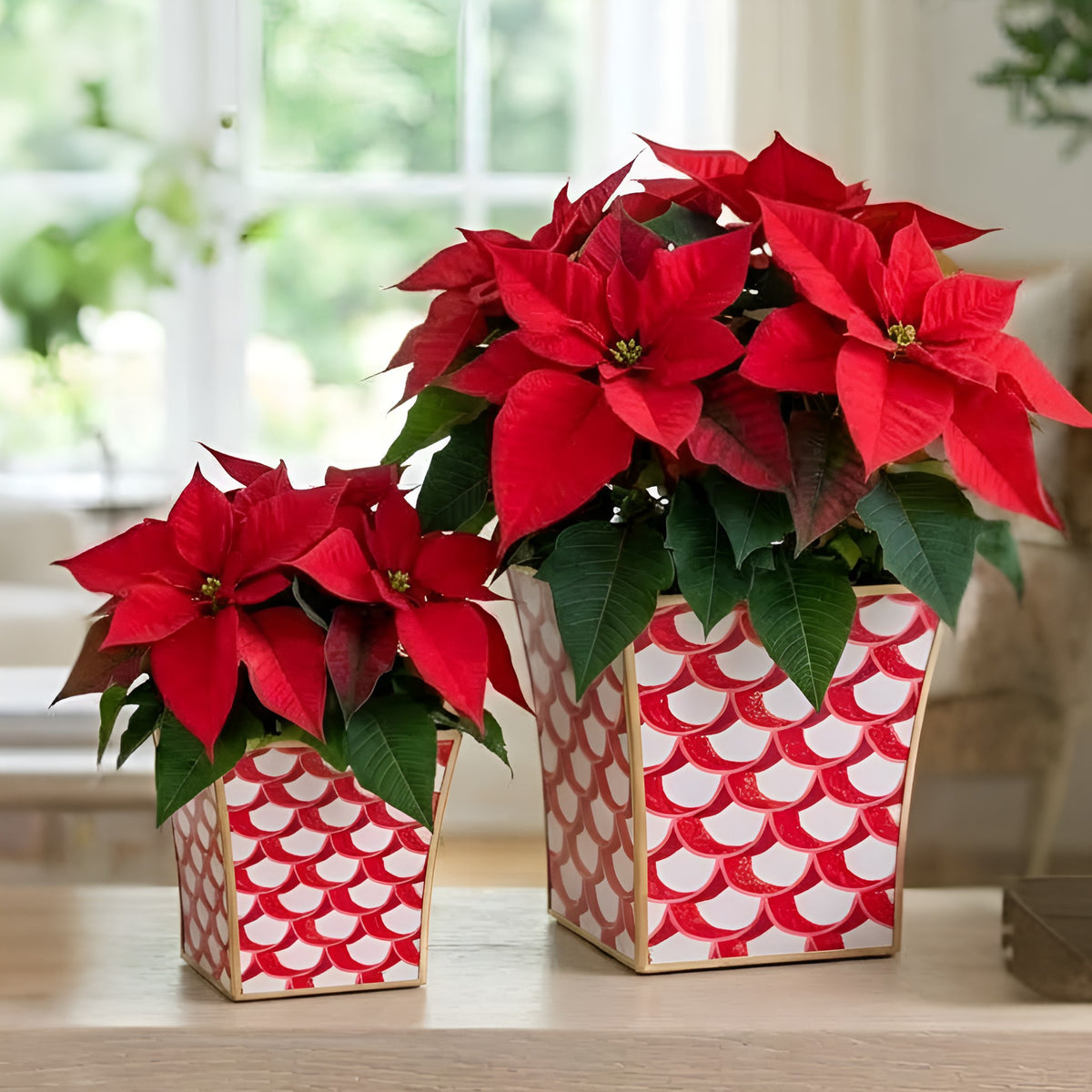 Scales Square Fluted Cachepot
