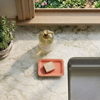 Gracie Enameled Laney Soap Dish - Pennywise Terracotta - Avail 11/21