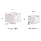 Mattie Quatrefoil Cachepot Planter