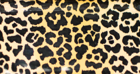 Leopard Spots Enameled Tori Trinket Tray - Avail 04/05