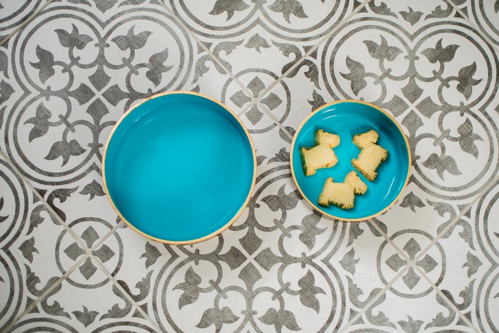 Cabana Stripe Enameled White and Turquoise Pet Bowl For Dogs and Cats - Pet Bowls from Jaye's Studio