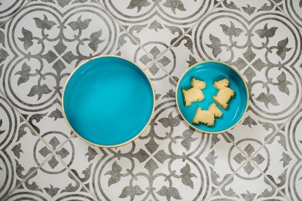 Cabana Stripe Enameled White and Turquoise Pet Bowl For Dogs and Cats - Pet Bowls from Jaye's Studio