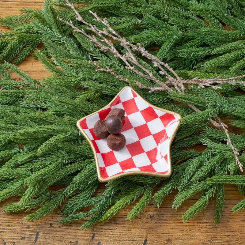 Checked Star Tray - Red - Avail 11/26 - Serving Trays from Jaye's Studio
