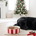 Classic Stripe Pet Bowl - Pet Bowls from Jaye's Studio