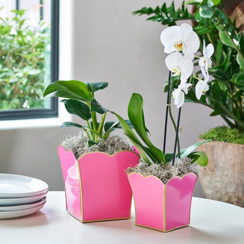 Gracie Pink Square Metal Cachepot For Bedroom, Office, Kitchen, Living Room - Gracie Scarlette Collection - Cachepots from Jaye's Studio