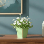 Gracie Pistachio Square Metal Cachepot For Bedroom, Office, Kitchen, Living Room - Gracie Scarlett Collection - Cachepots from Jaye's Studio