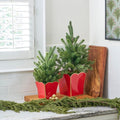 Gracie Scarlett Red Square Metal Cachepot For Bedroom, Office, Kitchen, Living Room - Gracie Scarlette Collection - Cachepots from Jaye's Studio