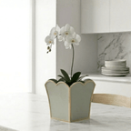 Gracie Scarlett Square Cachepot Planter Sage Green - 8 inch - Avail 05/19 - Cachepots from Jaye's Studio