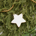 Gracie Star Ornament - White - Holiday Ornaments from Jaye's Studio