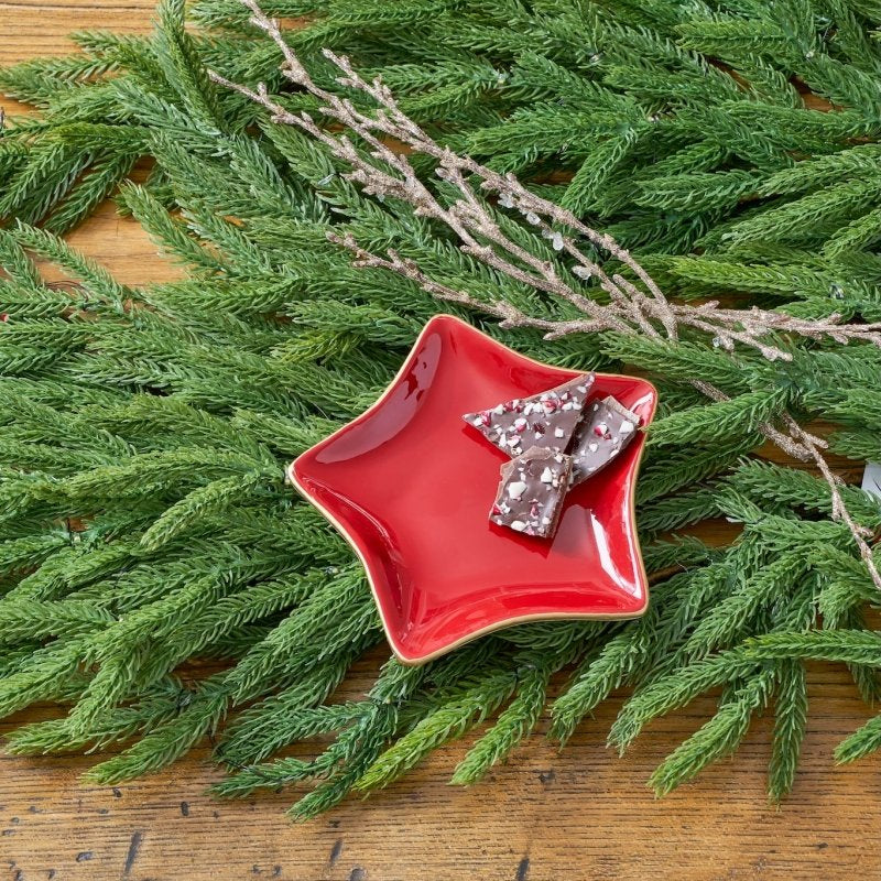 Gracie Star Tray - Red - Serving Trays from Jaye's Studio