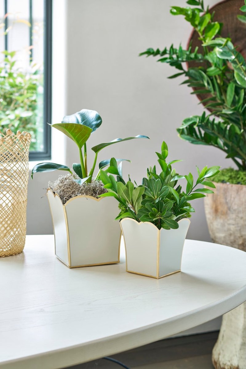 Gracie Taupe Square Metal Cachepot For Bedroom, Office, Kitchen, Living Room - Gracie Scarlette Collection - Cachepots from Jaye's Studio