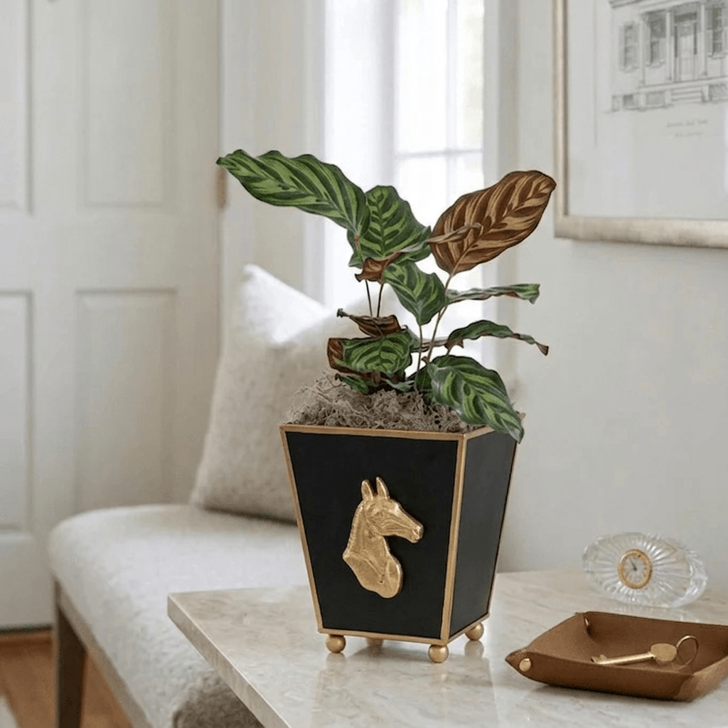 Horse Head Black Square Metal Cachepot for Bedroom, Office, Kitchen or Vanity - Cachepots from Jaye's Studio