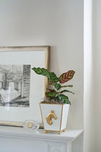 Horse Head White Square Metal Cachepot for Bedroom, Office, Kitchen or Vanity - Cachepots from Jaye's Studio