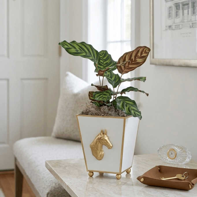 Horse Head White Square Metal Cachepot for Bedroom, Office, Kitchen or Vanity - Cachepots from Jaye's Studio