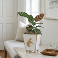 Horse Head White Square Metal Cachepot for Bedroom, Office, Kitchen or Vanity - Cachepots from Jaye's Studio