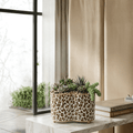 Leopard Cream Quatrefoil Metal Cachepot Planter For Bedroom, Office, Kitchen and Living Room - Cachepots from Jaye's Studio