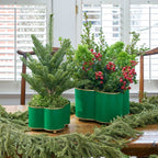 Mattie Green / Emerald Green Quatrefoil Metal Cachepot Planter For Bedroom, Office, Kitchen and Living Room - Cachepots from Jaye's Studio