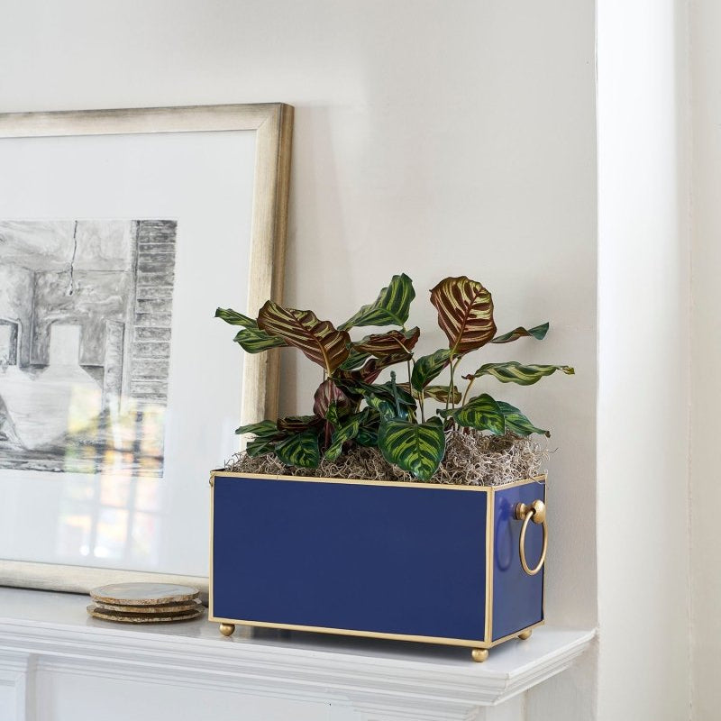 Mattie Rectangular Cachepot Planter 6x12 - Indigo Blue - Cachepots from Jaye's Studio