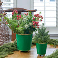 Mattie Round Cachepot Planter - Emerald Green - Cachepots from Jaye's Studio