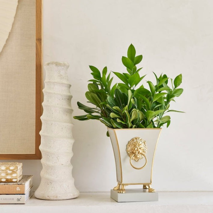 Paws & Claws Taupe Square Metal Cachepot for Bedroom, Home Office, Kitchen or Living Room - with Gold Lion Decor - Cachepots from Jaye's Studio