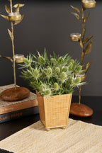 Rattan Enameled Brown Square Metal Cachepot Planter for Bedroom, Home Office, Kitchen, Living Room - Avail 02/22 - Cachepots from Jaye's Studio