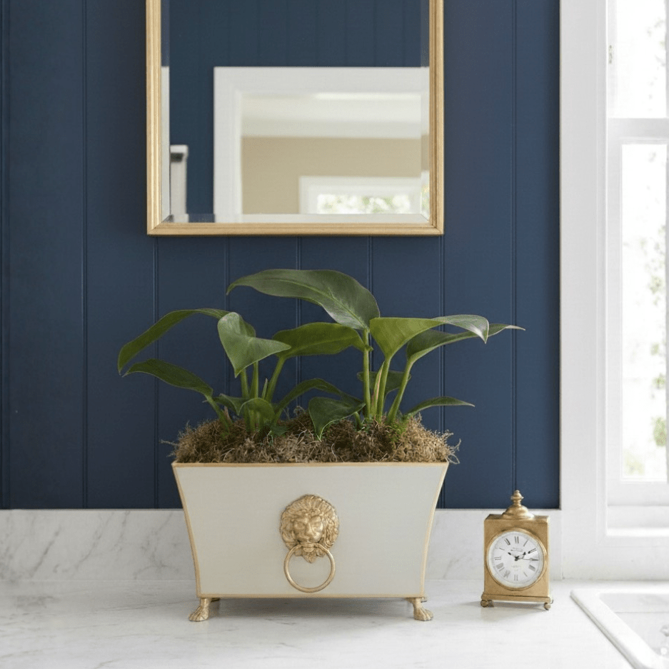 Regency Paws and Claws Taupe Rectangular Fluted Metal Cachepot Planter for Entryway, Mantle, Home Office, Kitchen and Living Room - Avail 05/26 - Cachepots from Jaye's Studio