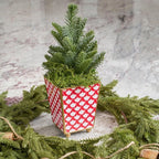 Scales Enameled Red Square Metal Cachepot Planter for Bedroom, Home Office, Kitchen, Living Room - Cachepots from Jaye's Studio