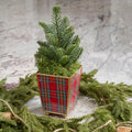 Tartan Plaid Enameled Multi - Color Square Metal Cachepot Planter for Bedroom, Home Office, Kitchen, Living Room - Cachepots from Jaye's Studio
