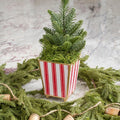 Ticking Stripe Enameled Red Square Metal Cachepot Planter for Bedroom, Home Office, Kitchen, Living Room - Cachepots from Jaye's Studio